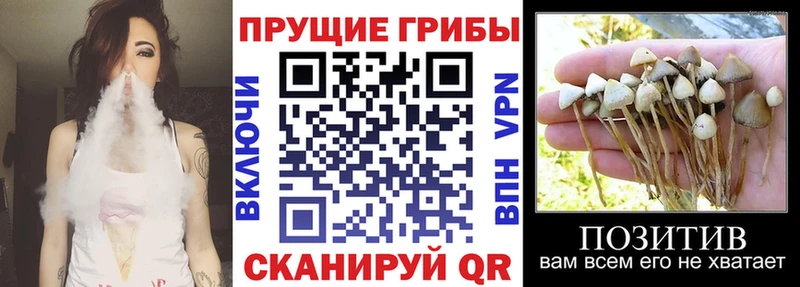 Купить где Волгоград Галлюциногенные грибы мухоморы