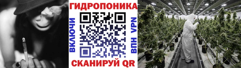 Шишки марихуана ГИДРОПОН  Купить где  Волгоград 